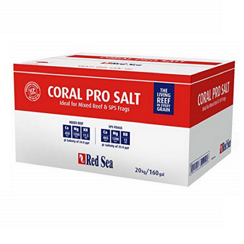 Sal Coral Pro Red Sea